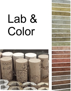 storeiconlab